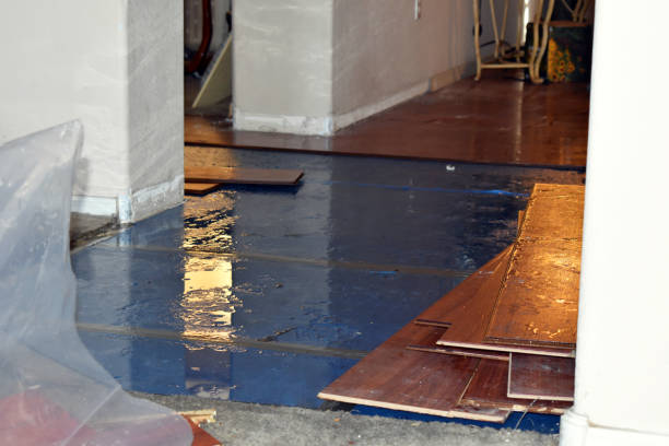 Professional Water Damage Restoration technician working in Teec Nos Pos, AZ